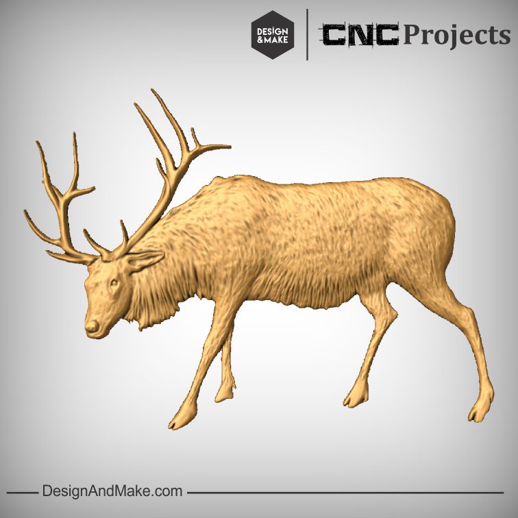 elk